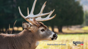 Game & Parks encourages safety practices as firearm deer season begins