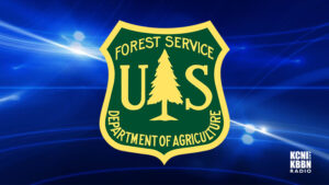 Christmas tree cutting permits available in Halsey, Chadron