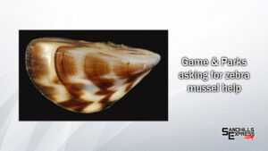 Boat owners encouraged to check for zebra mussels in Nebraska