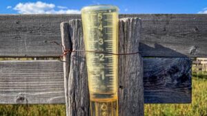 KCNI/KBBN Rain Records Highlight Dry Second Half 2024