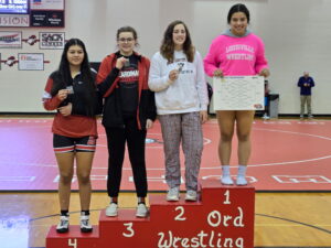 Area Athletes Qualify for Girls State Wrestling Tournament