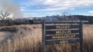 Fire at Pressey Park quickly extinguished Monday
