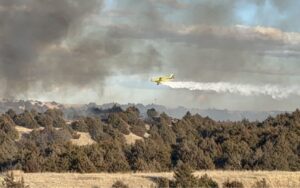 Estimated 4,125 acres burned between three active Custer County fires