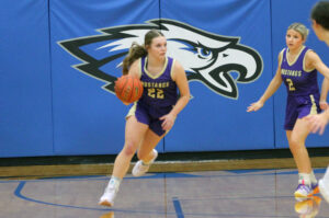 High School Basketball Scores 2/3