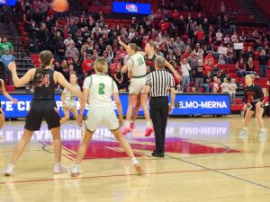 Anselmo-Merna Ends Season at State Tournament