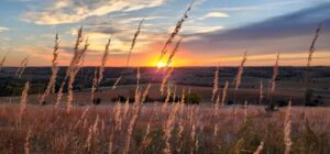 Photo contest winners for 2025 announced by Lower Loup NRD