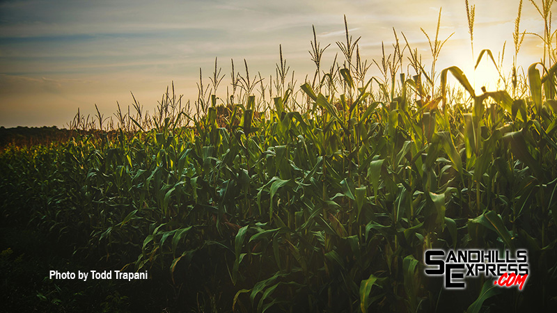 Nebraska farmers benefit from tax incentives for corn-based fuel