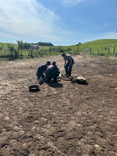 Norfolk Woman Seriously Injured After Being Thrown Off Horse | WDN ...