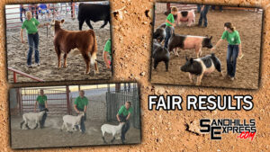 Results of 2025 Custer County Fair released