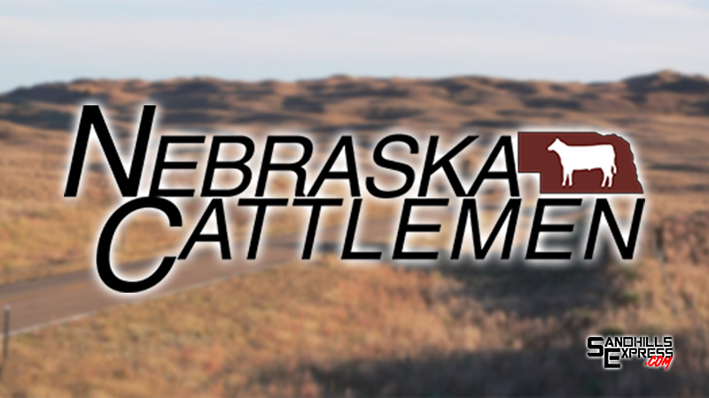 Nebraska Cattlemen Foundation awards over $70,000 in scholarships