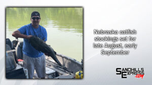 Channel catfish stockings to take place across Nebraska