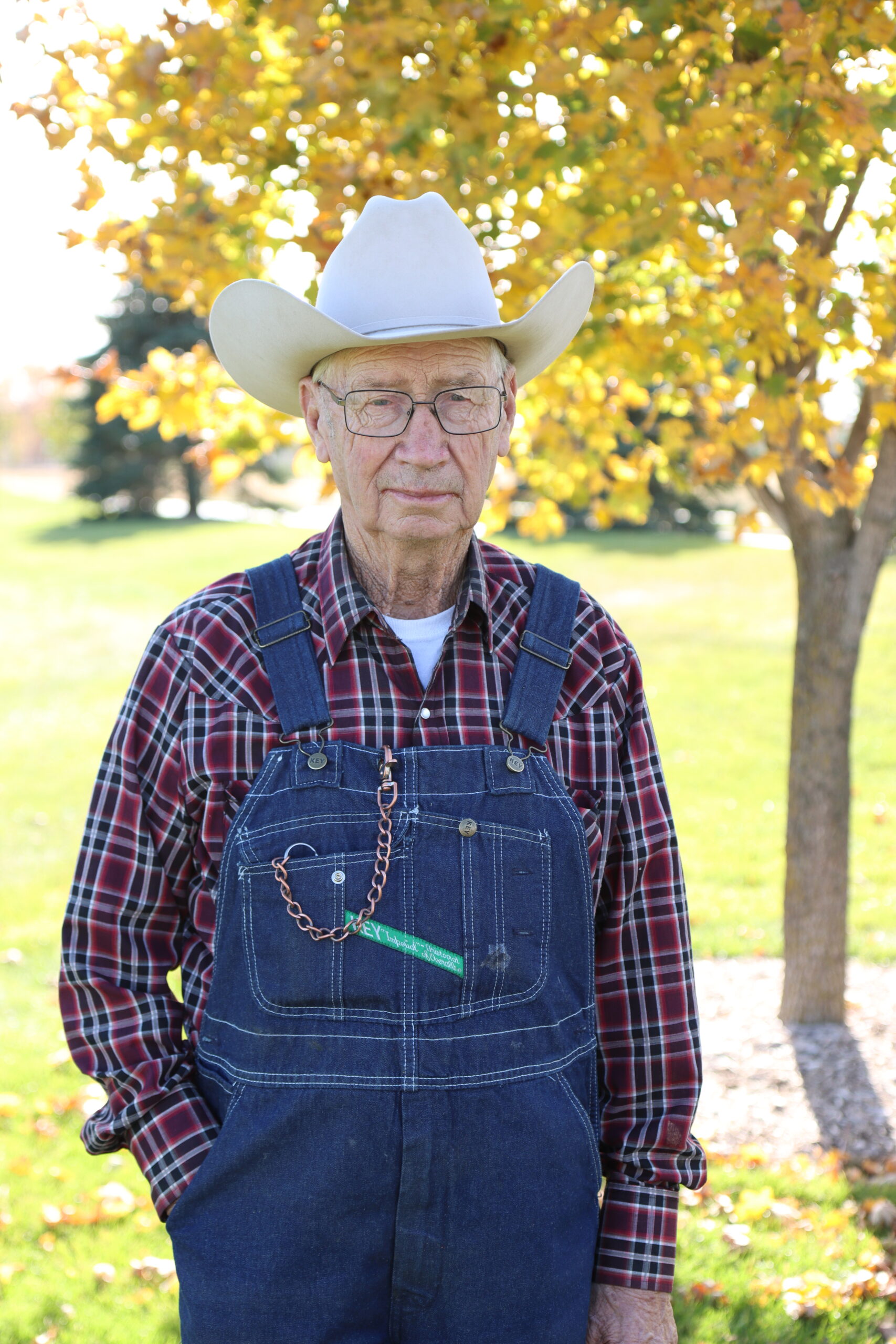 Alfred Bauer, age 85