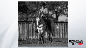 Champion Quarter Horse Oz Ona Hot Streak Lives Up To His Name, Bound for National Finals Rodeo