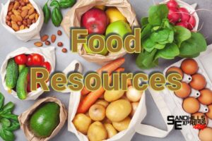 Local Resources are Available for SNAP Recipients Losing Access