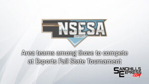 Loup City, S-E-M, Ord compete in Fall state Esports tournament