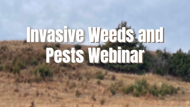 Nebraska Extension Launches Webinar Series on Controlling Invasive Weeds and Pests