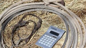 Nebraska Extension to Help Producers Understand Input Costs