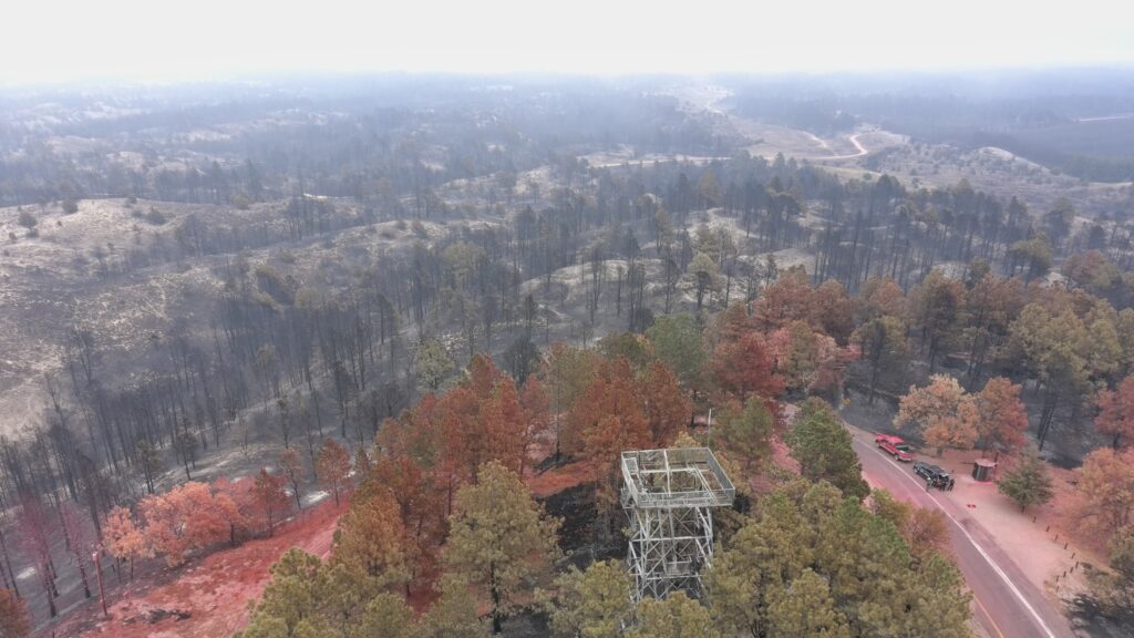Slow but Determined Progress Continues to Re-Build at the Nebraska National Forest near Halsey