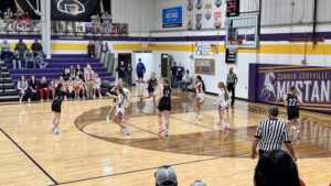 Girls Sub District Basketball - Area Recap
