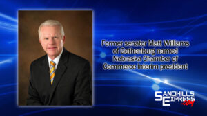 Williams named interim president of NE Chamber