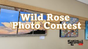 Wild Rose Gallery photo entry day is Saturday