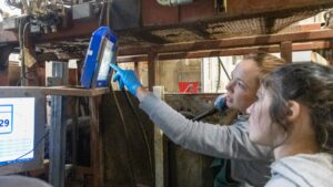 Beef Quality Assurance has High Value for Producers and Consumers