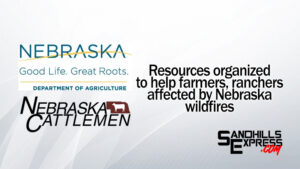 How to help: fire relief resources, avenues organized