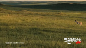 Grassland CRP enrollment encouraged through May