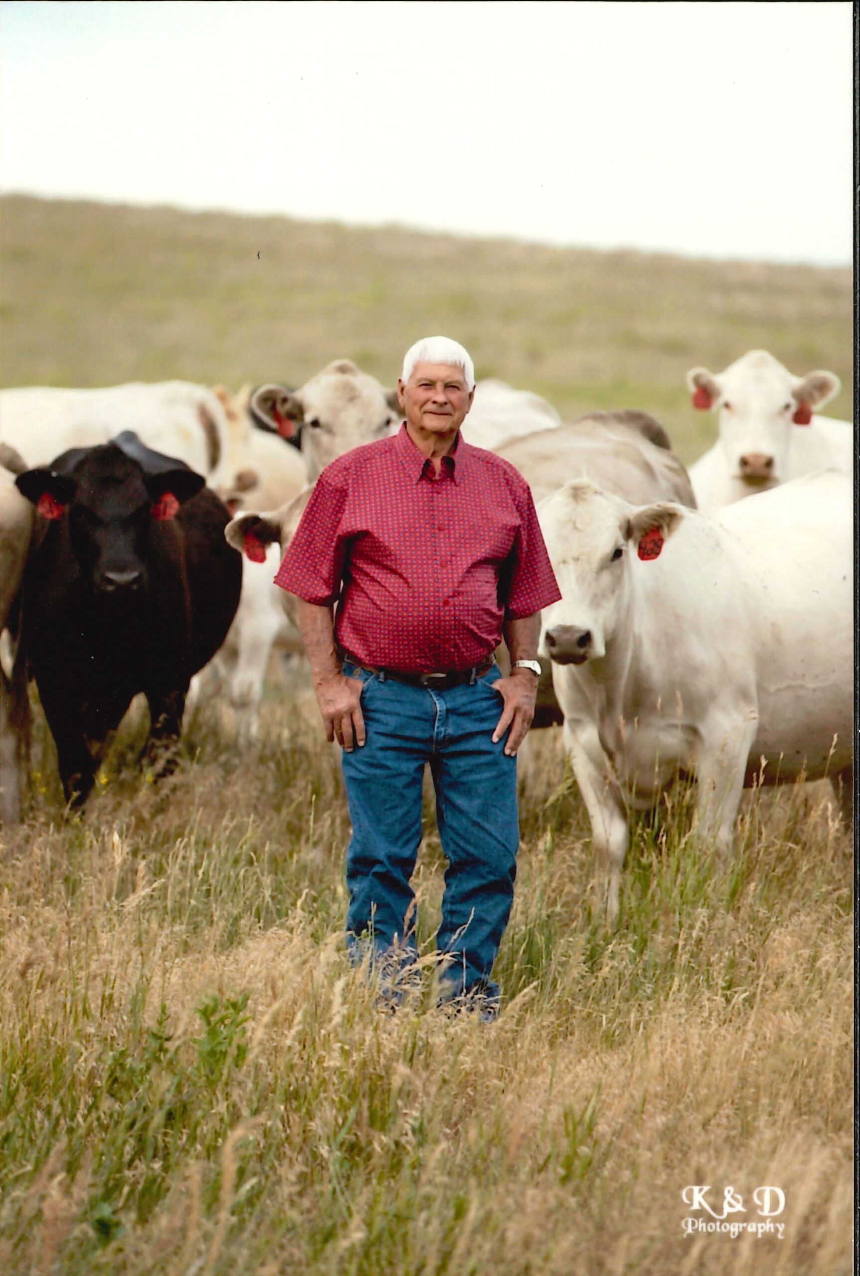 Ray Taylor, age 87