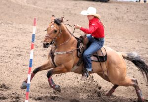 Area Cowboys and Cowgirls Qualify for National High School Finals Rodeo