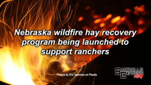 Nebraska wildfire hay recovery program launched, hay can be harvested from eligible state highway rights-of-way