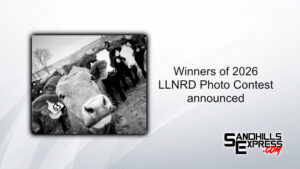 Photo contest winners selected by Lower Loup NRD for 2026