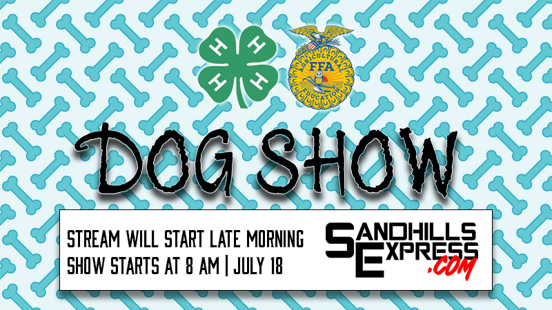 Dog Show (ends 7/18)