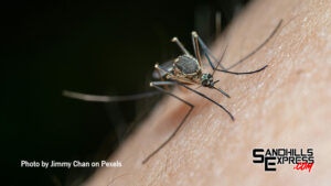 West Nile Virus detected in Dawson County mosquitos