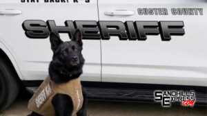Custer County's K9 Vader receives protective vest through charitable donation
