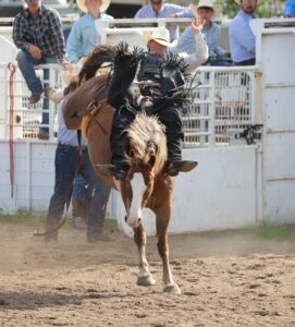 Nebraska High School Rodeo - Results and Area Recap from Bloomfield and O'Neill