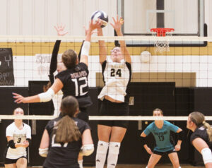 High School Volleyball Scores 9/3 - Area Recap