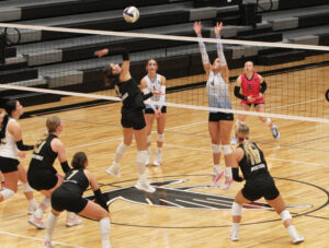 Sub District Volleyball - Area Recap